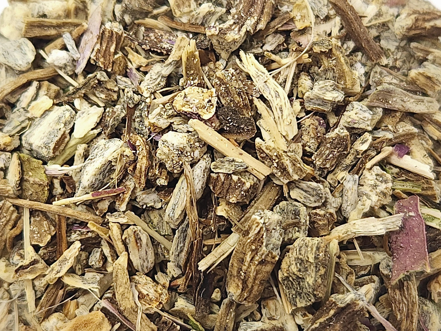 ECHINACEA ROOT