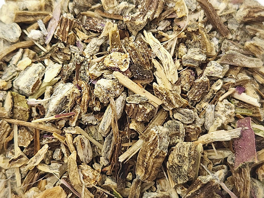ECHINACEA ROOT
