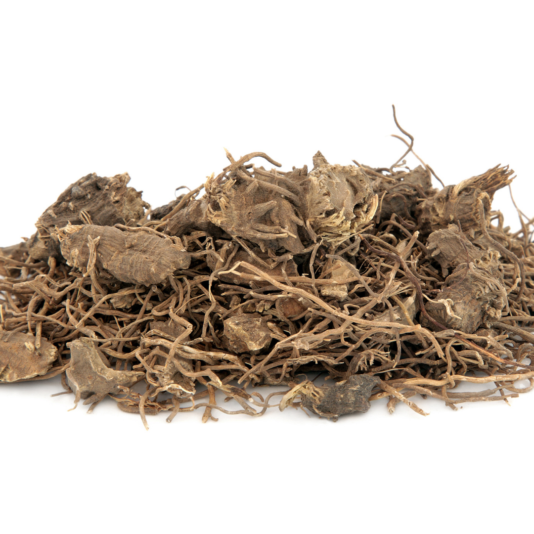 BLUE COHOSH ROOT