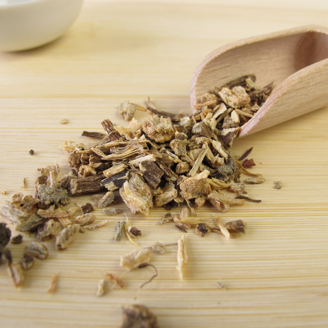 ECHINACEA ROOT