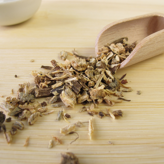 ECHINACEA ROOT