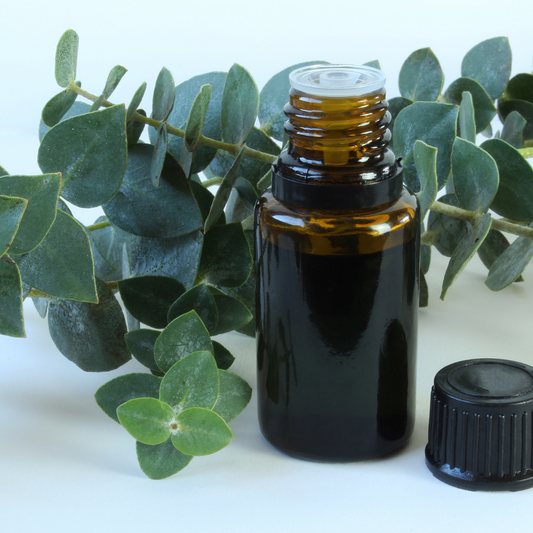 EUCALYPTUS OIL