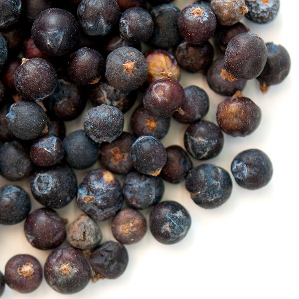 JUNIPER BERRIES