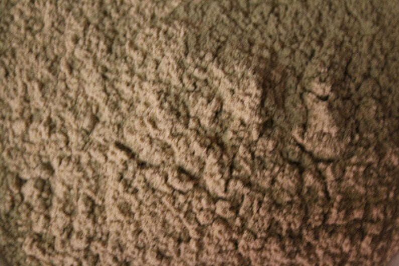 MAITAKE MUSHROOM POWDER