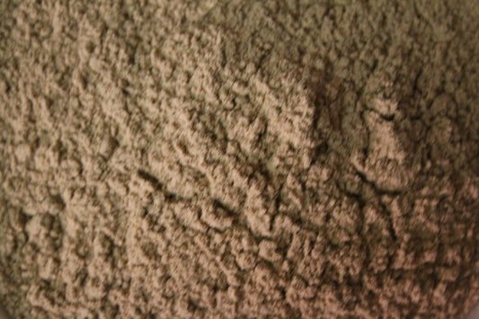 MAITAKE MUSHROOM POWDER