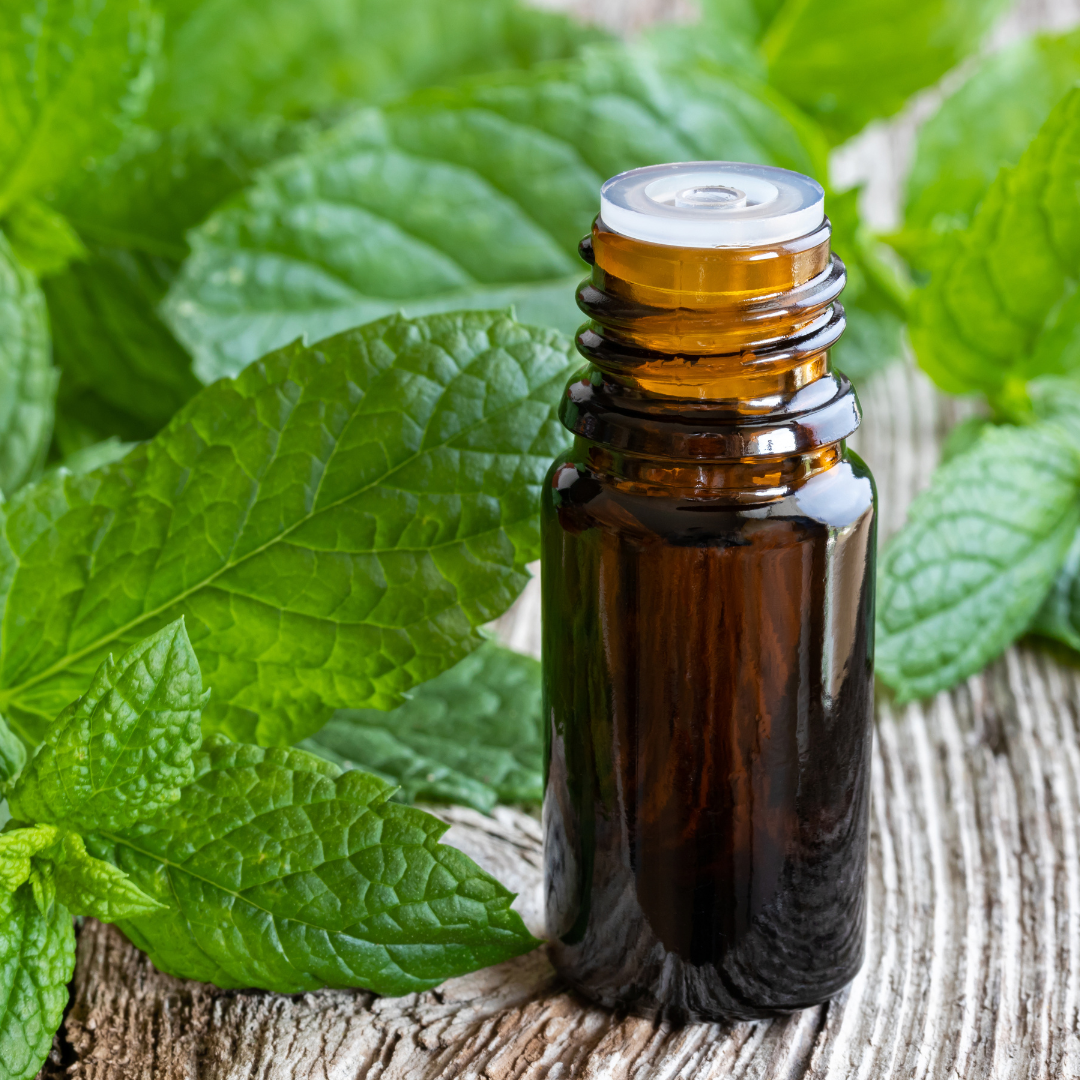 PEPPERMINT OIL