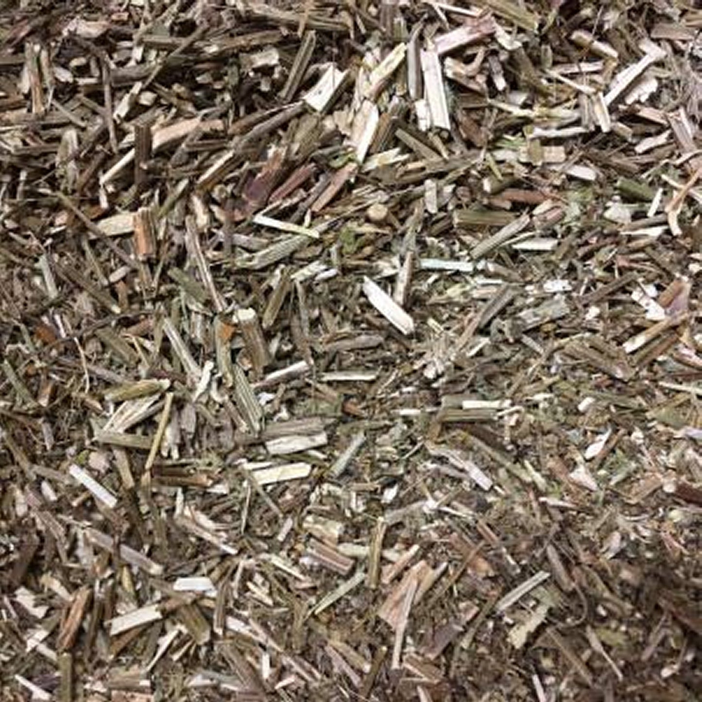 VERVAIN HERB POWDER